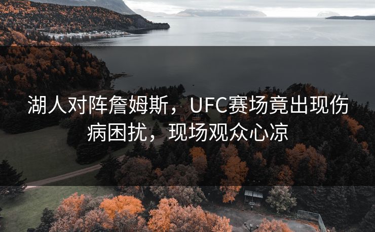 湖人对阵詹姆斯，UFC赛场竟出现伤病困扰，现场观众心凉