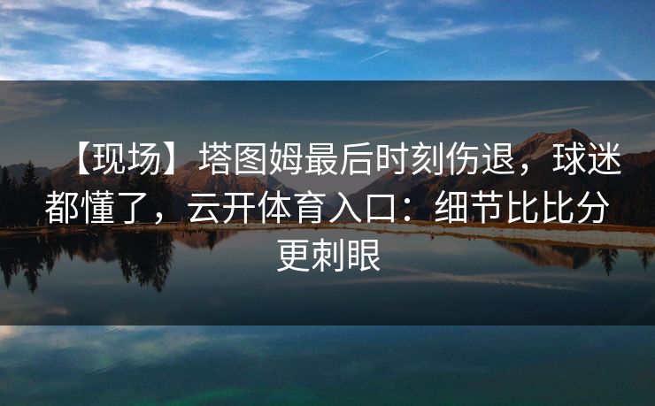 【现场】塔图姆最后时刻伤退，球迷都懂了，云开体育入口：细节比比分更刺眼